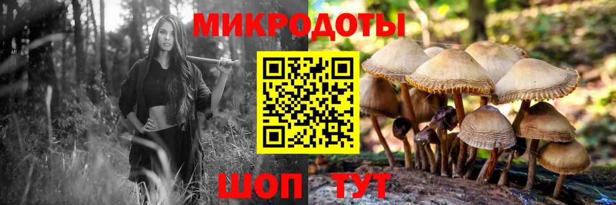 Псилоцибиновые грибы Psilocybe  Псилоцибиновые грибы ЛСД  магазин    Кизилюрт 